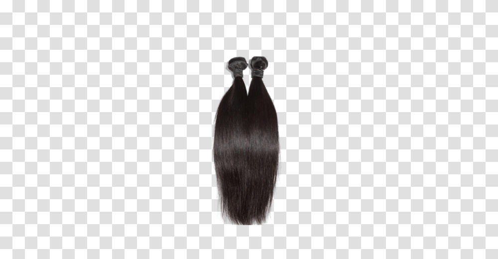 Italian Straight Hair Misses, Bird, Animal, Haircut, Black Hair Transparent Png