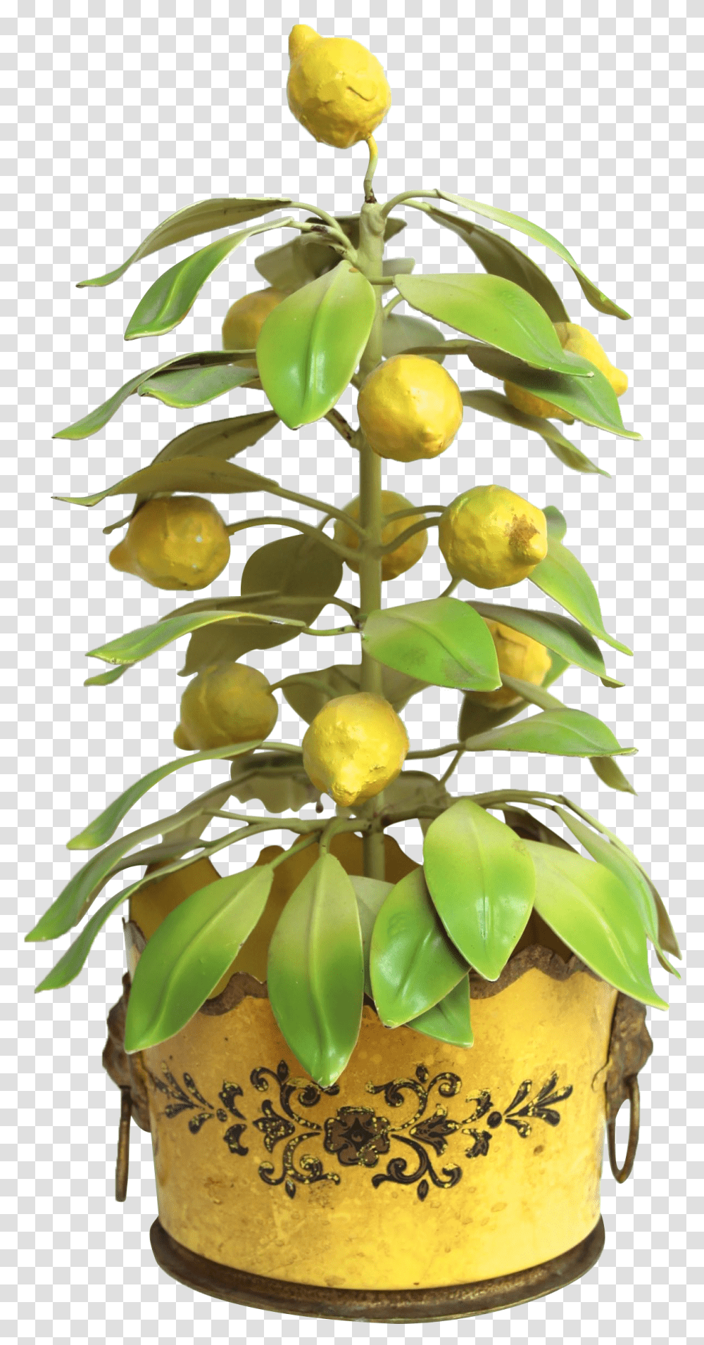 Italian Tole Lemon Tree Topiary On Chairish Download Lemon Tree, Plant, Leaf, Flower, Citrus Fruit Transparent Png
