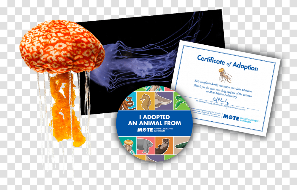 Items Included In Buddy Package, Sea Life, Animal, Label Transparent Png