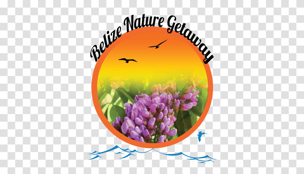 Itineraries Belize Nature Getaway, Plant, Flower, Bird, Animal Transparent Png