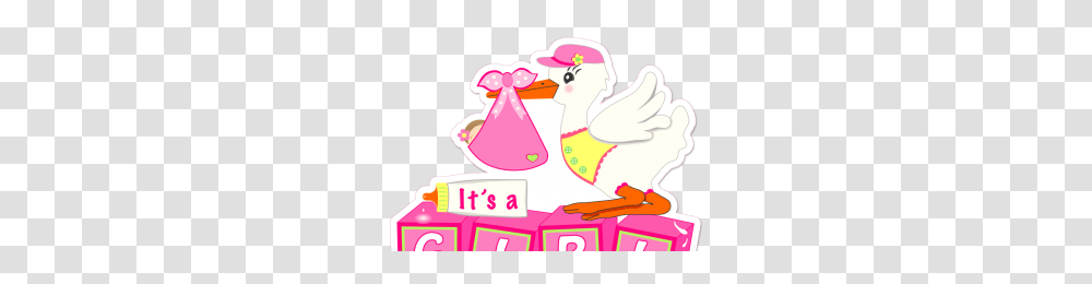 Its A Girl Image, Bird, Animal Transparent Png