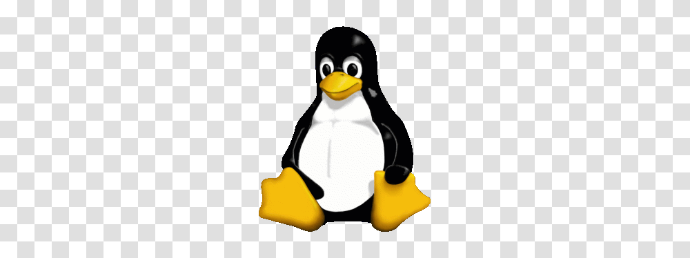Its A Small World Tiny Linux Operating System Options, Bird, Animal, Penguin, Toy Transparent Png