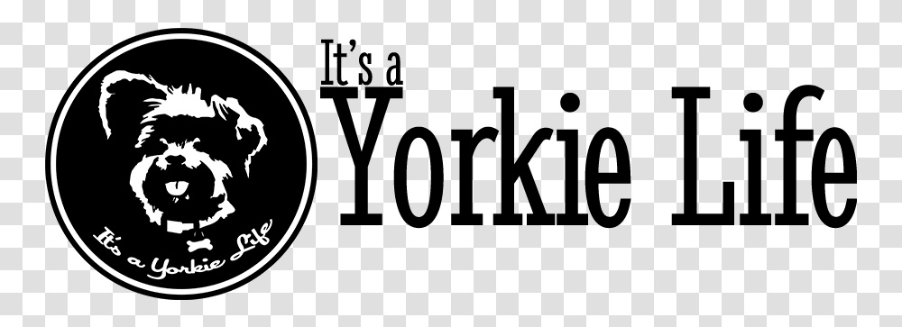 Its A Yorkie Life Horizontal Graphic Design, Gray, World Of Warcraft Transparent Png