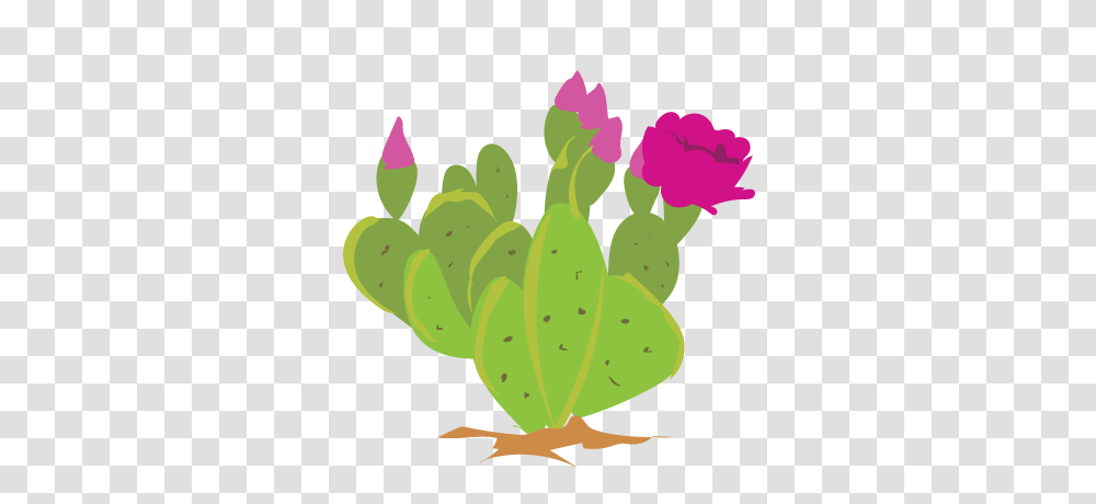 Its Cactus Week On Inaturalist Feb, Plant, Flower, Blossom, Leaf Transparent Png