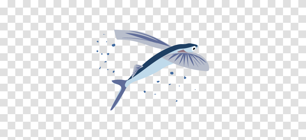 Its Fish Week On Inaturalist Feb, Flying, Bird, Animal, Jay Transparent Png