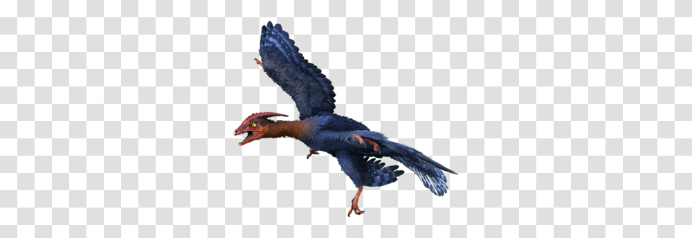 Its From Ark Survival Evolved, Bird, Animal, Flying, Beak Transparent Png