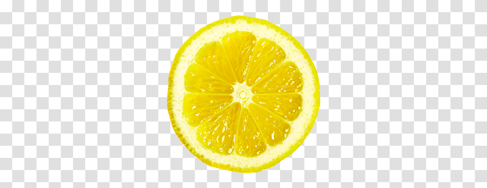 Its Lemon Slice, Citrus Fruit, Plant, Food, Lime Transparent Png