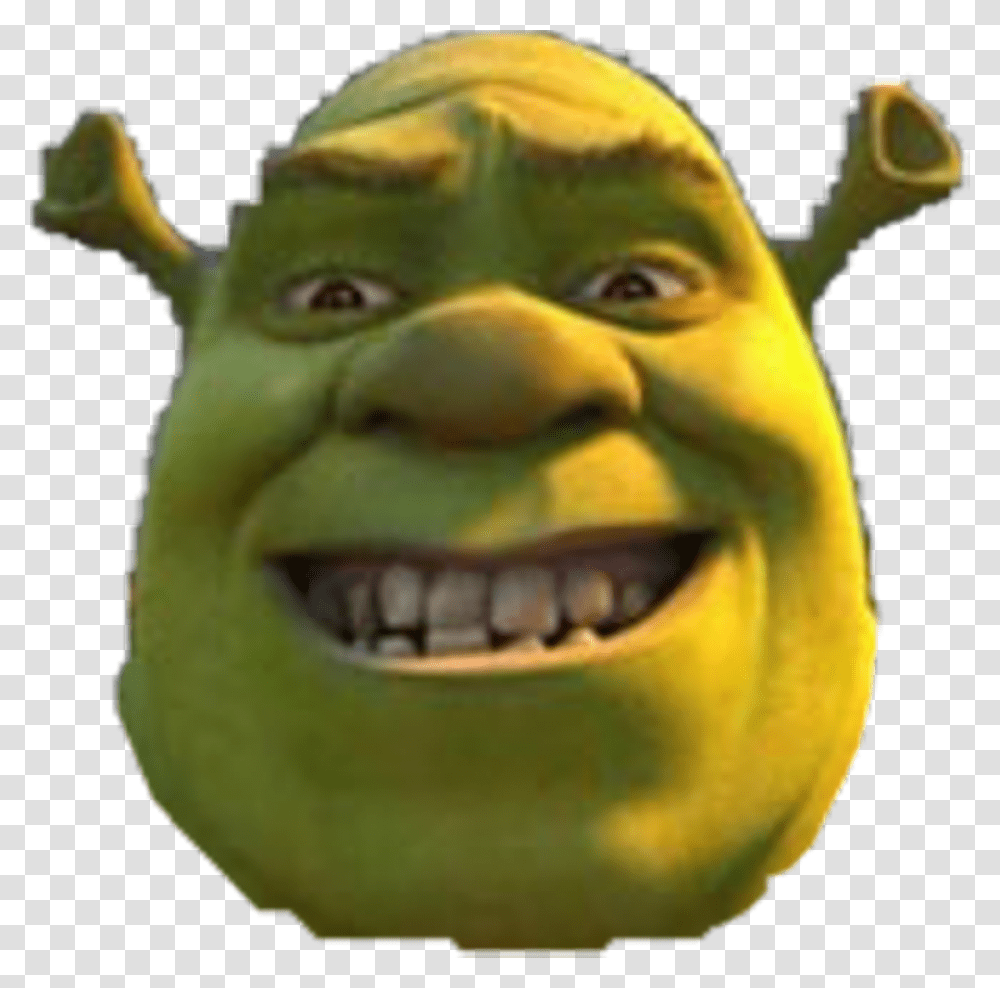 Its Our Lord Shrek Shrek Face, Teeth, Mouth, Lip, Toy Transparent Png