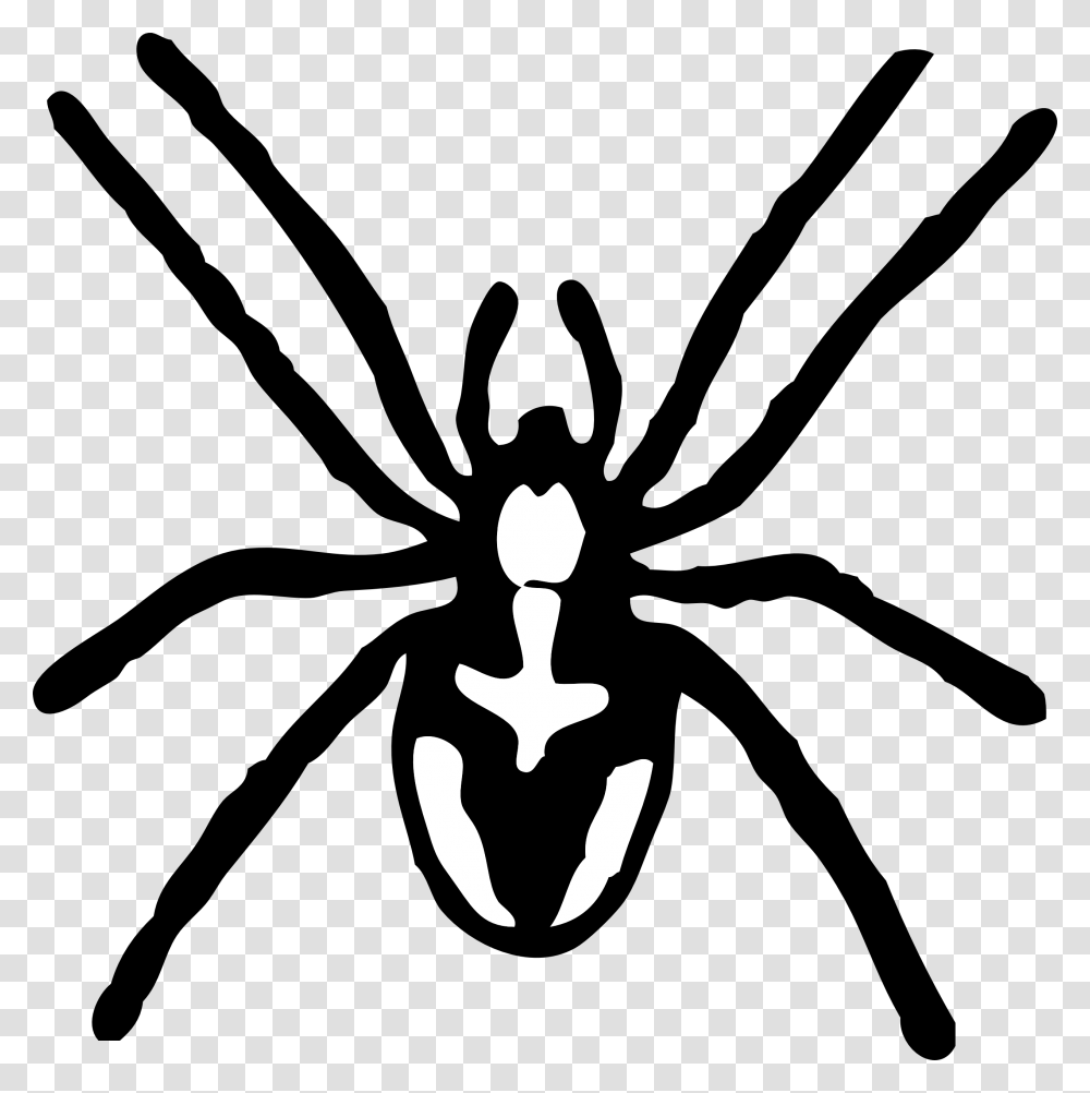 Itsy Bitsy Spider Free Spider Clipart Black And White, Stencil, Bow, Animal, Invertebrate Transparent Png
