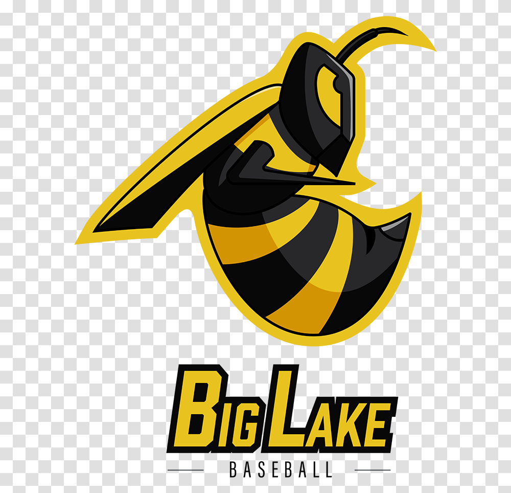 Ivan Witteborg Graphic Designer Big Lake Baseball Hornet Logo Bumblebee, Wasp, Insect, Invertebrate, Animal Transparent Png