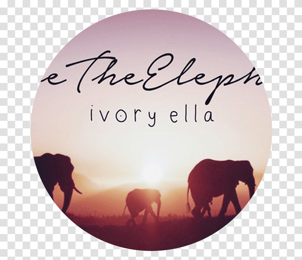 Ivory Ella Logo Mypeeptoes, Animal, Mammal, Buffalo Transparent Png