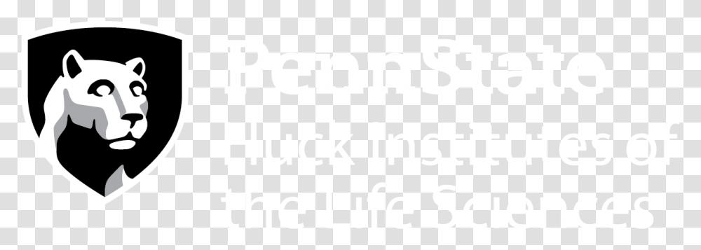 Ivory, White, Texture, White Board Transparent Png