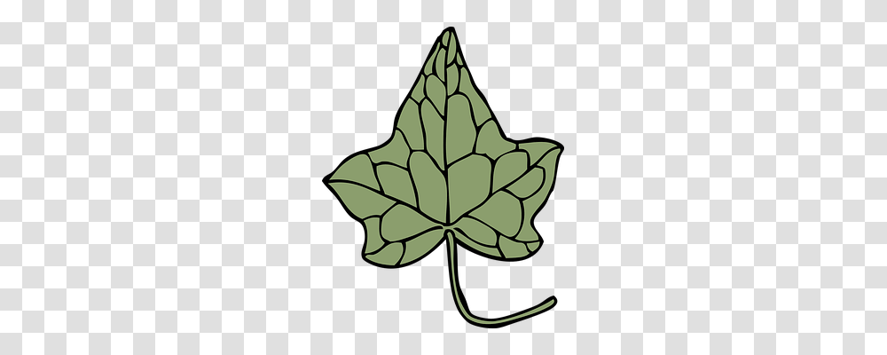 Ivy Nature, Leaf, Plant, Tree Transparent Png