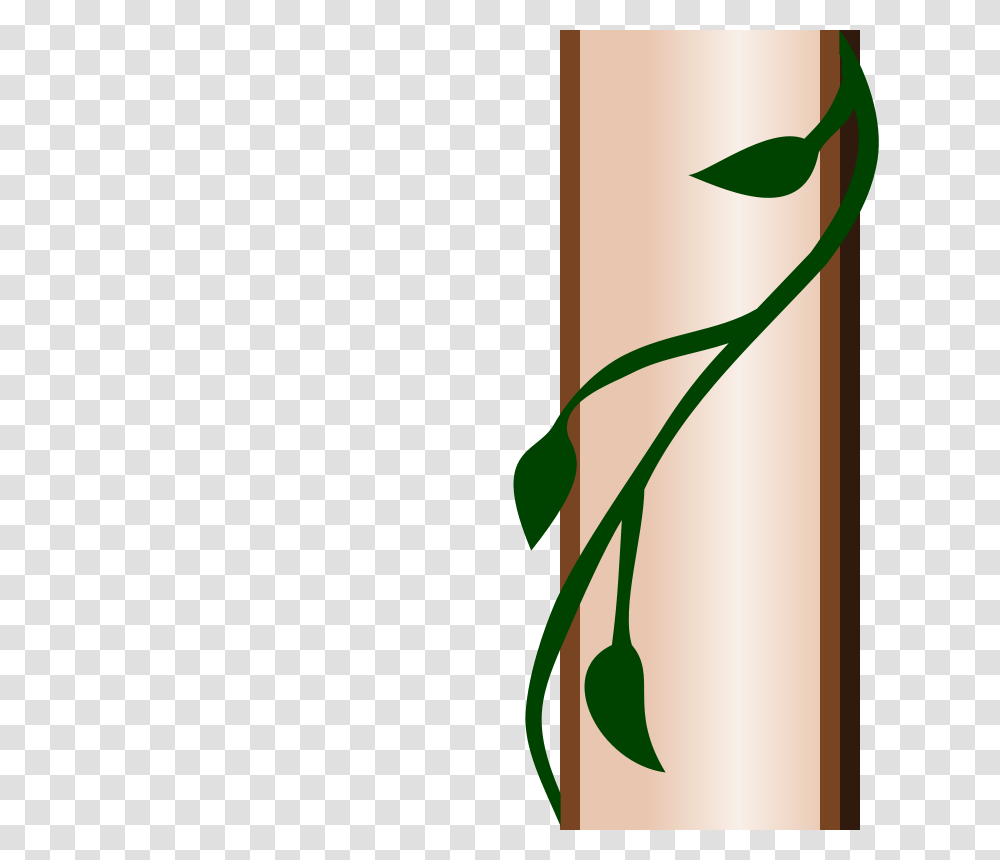 Ivy Clip Art Free, Plant, Bamboo, Scroll Transparent Png