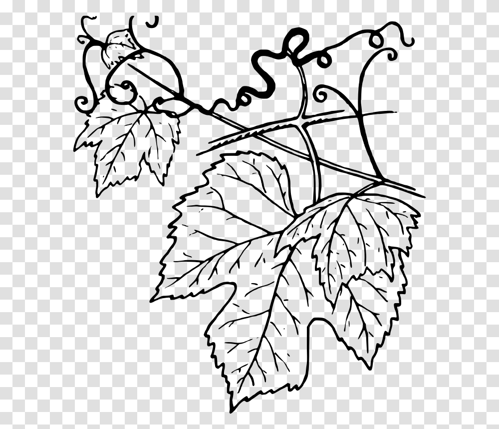 Ivy Clipart Grape Leave Grapevine Leaves Clip Art, Gray, World Of Warcraft Transparent Png