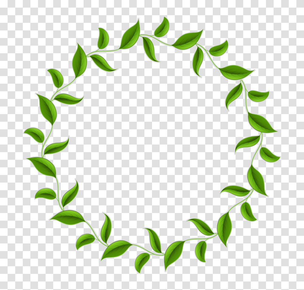 Ivy Clipart Green Stem Ivy Green Stem Free, Plant, Leaf, Vine, Wreath Transparent Png