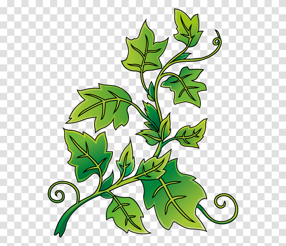 Ivy Clipart, Leaf, Plant, Tree, Painting Transparent Png