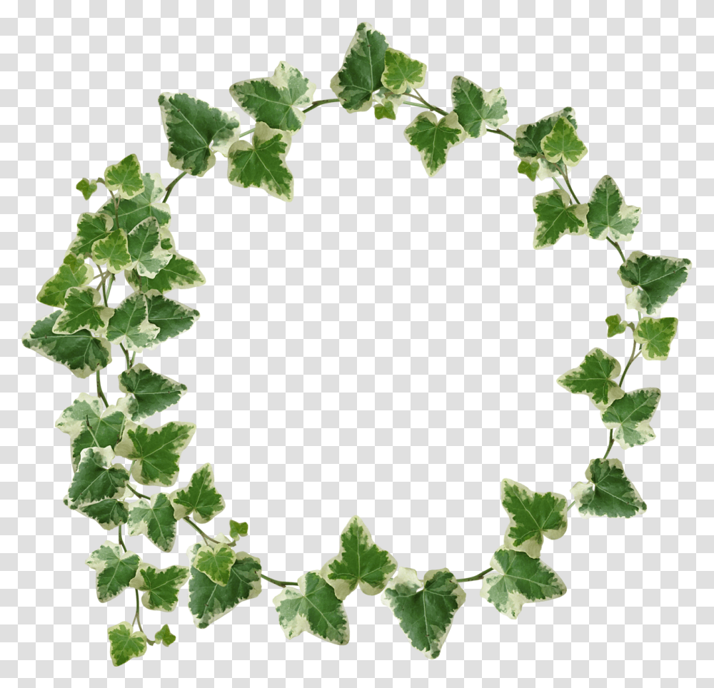 Ivy Crown Transparency, Plant, Green, Leaf, Wreath Transparent Png