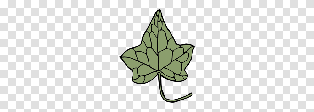 Ivy Images Icon Cliparts, Leaf, Plant, Tree, Ornament Transparent Png