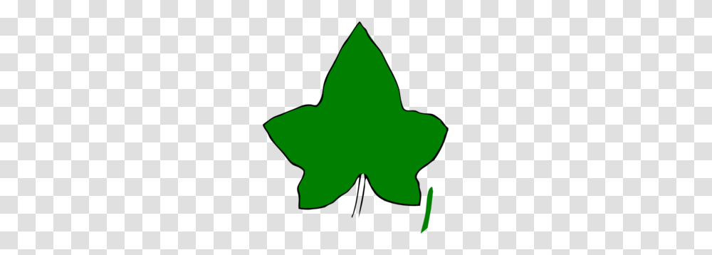 Ivy Leaf Big Green Clip Art, Plant, Maple Leaf, Person, Human Transparent Png