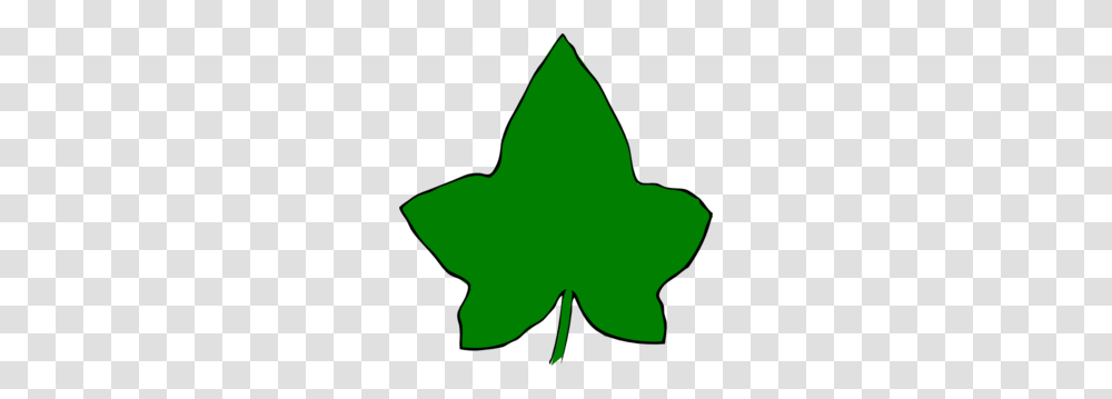 Ivy Leaf Big Green Clip Art, Plant, Maple Leaf, Star Symbol, Person Transparent Png