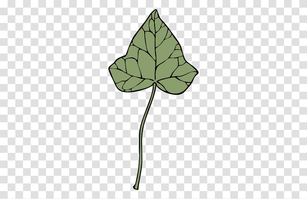 Ivy Leaf Clip Art, Plant, Flower, Blossom, Geranium Transparent Png