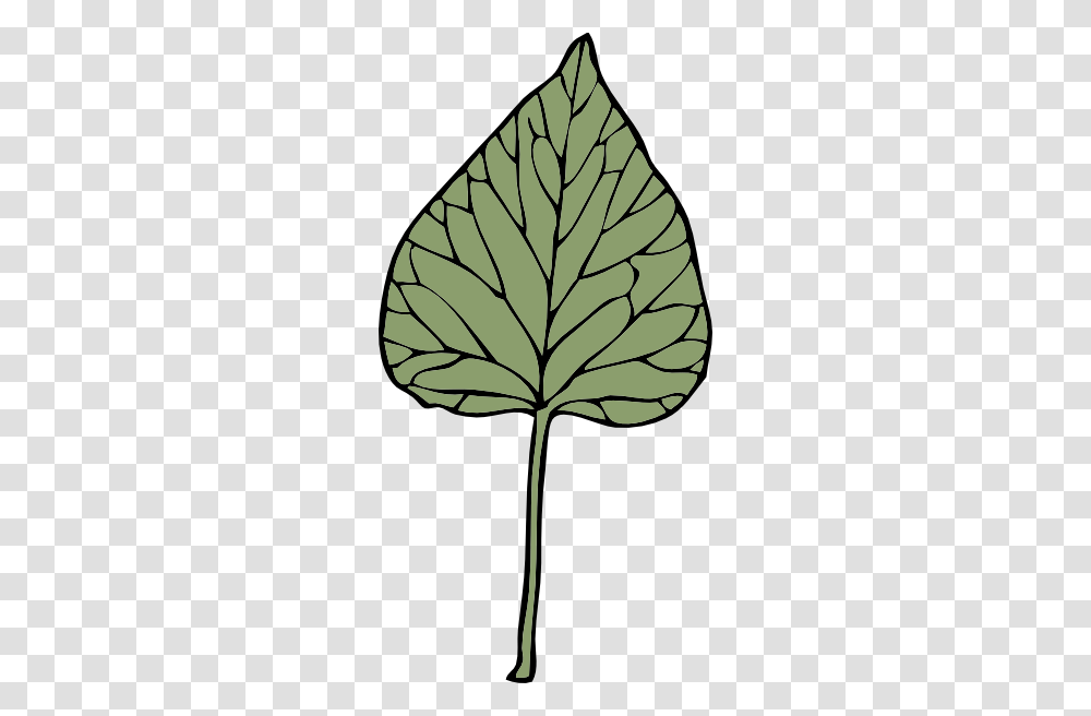 Ivy Leaf Clip Art, Plant, Food, Lamp, Veins Transparent Png
