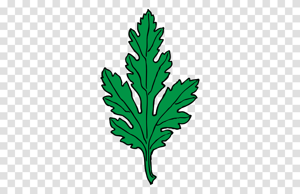 Ivy Leaf Green Chrysanthemum Clip Art, Plant, Tree, Pottery, Produce Transparent Png