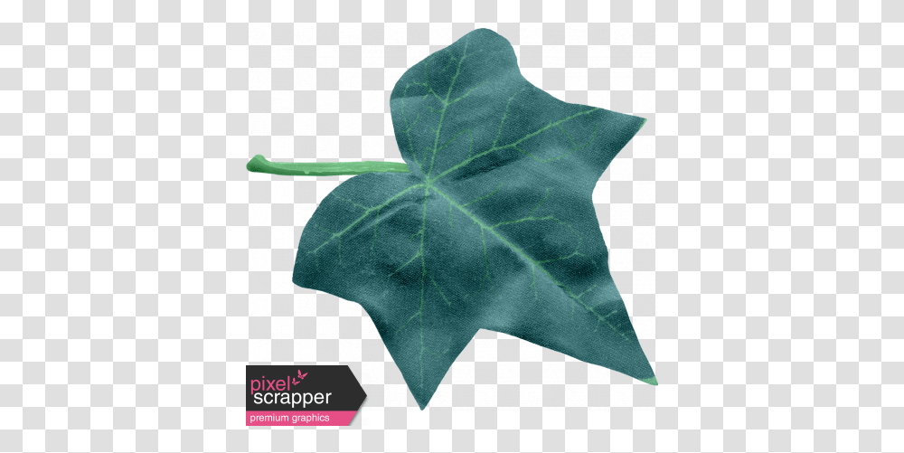 Ivy Leaf Large Graphic Araliaceae, Plant, Tree, Maple Leaf Transparent Png