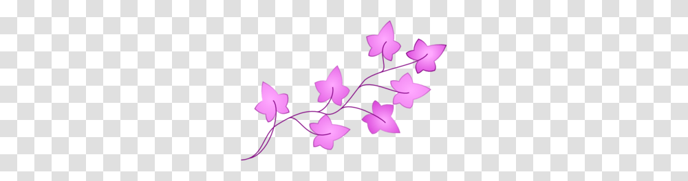 Ivy Purple Clip Art, Plant, Flower, Blossom, Petal Transparent Png