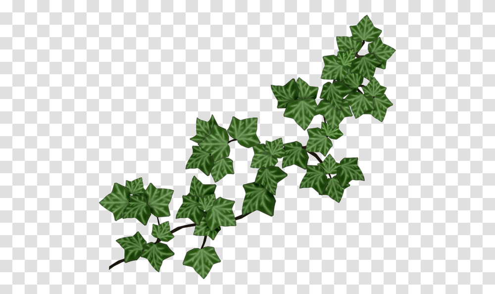 Ivy Vine Ivy Clip Art, Leaf, Plant Transparent Png