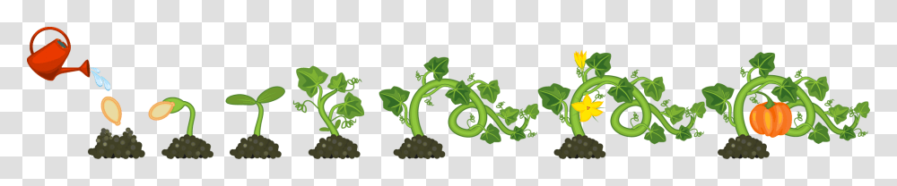 Ivy Vine, Plant, Green, Food, Grapes Transparent Png