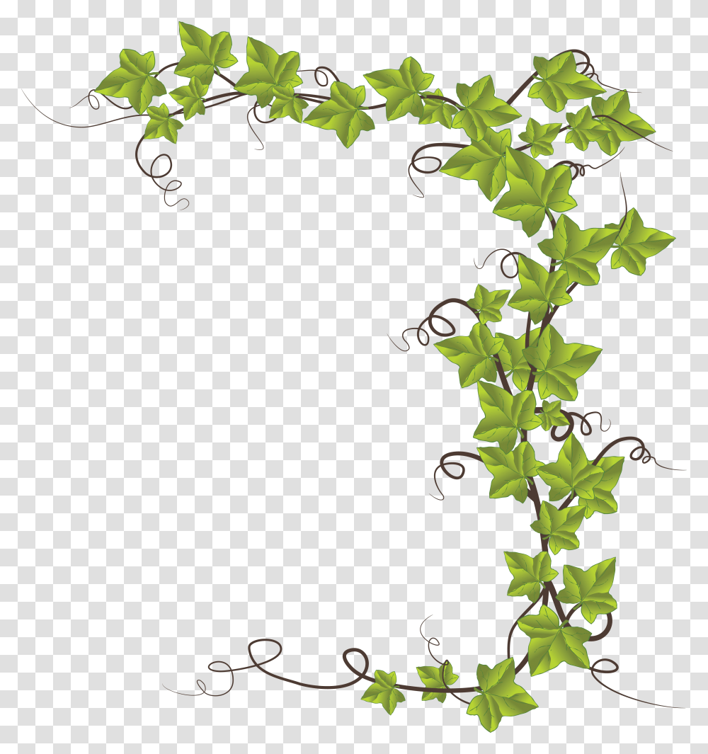 Ivy Vine Silhouette, Plant, Leaf Transparent Png