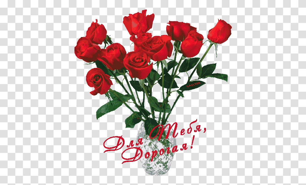 Izobrazhenie Dlya Plejkasta Aesthetic Rose, Plant, Flower, Blossom, Flower Bouquet Transparent Png