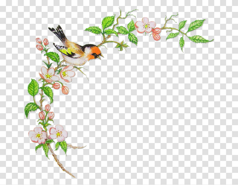 Izobrazhenie Dlya Plejkasta, Bird, Animal, Floral Design, Pattern Transparent Png