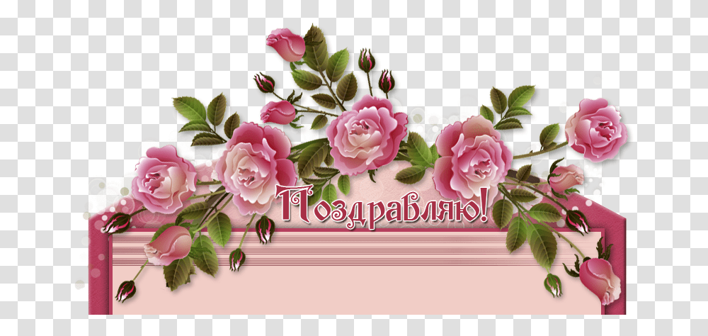 Izobrazhenie Dlya Plejkasta Garden Roses, Floral Design, Pattern Transparent Png