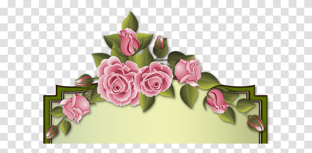Izobrazhenie Dlya Plejkasta Garden Roses, Plant, Flower, Floral Design, Pattern Transparent Png