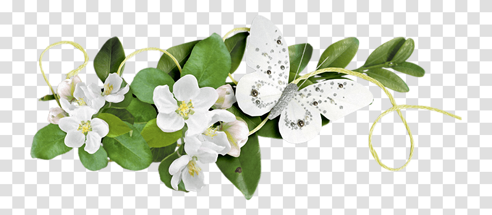 Izobrazhenie Dlya Plejkasta Otkritka Horoshego Dnya Tebe, Plant, Flower, Blossom Transparent Png