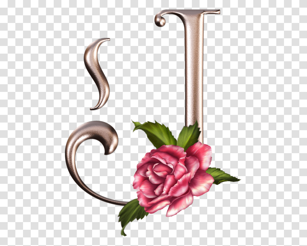 J Alphabet Clip Art And Gifs Alphabet, Rose, Flower, Plant, Blossom Transparent Png