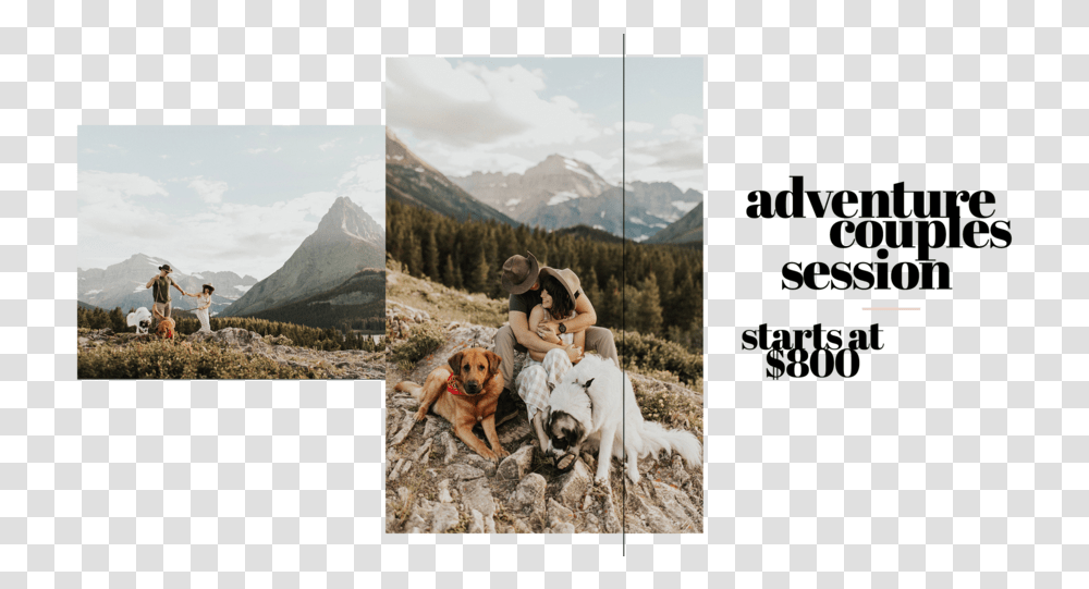 J Vigil Photo Adventure Couples Session Glacier, Dog, Pet, Canine, Animal Transparent Png