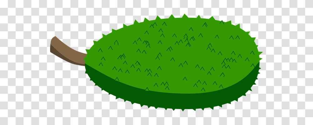 Jack Fruit Nature, Green, Field, Ball Transparent Png