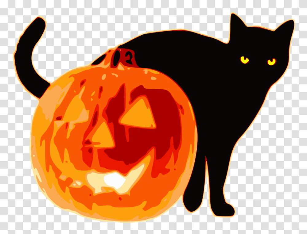 Jack O Lanterns Image Background, Halloween, Animal, Mammal, Cat Transparent Png