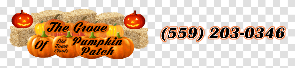 Jack O39 Lantern, Pumpkin, Vegetable, Plant, Food Transparent Png