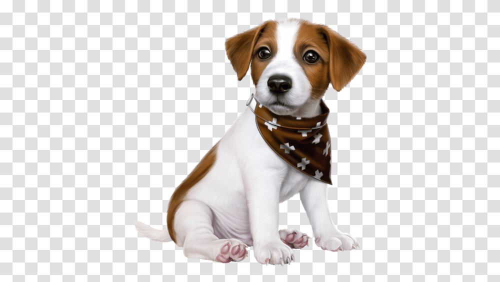 Jack Russell Cartoon Cute, Apparel, Dog, Pet Transparent Png