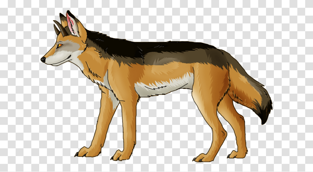 Jackal Coyote Download Image With, Horse, Mammal, Animal, Wildlife Transparent Png