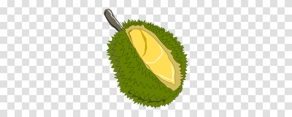 Jackfruit Food, Durian, Produce, Plant Transparent Png