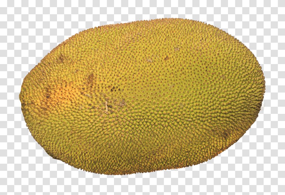 Jackfruit Image, Plant, Produce, Food, Rug Transparent Png
