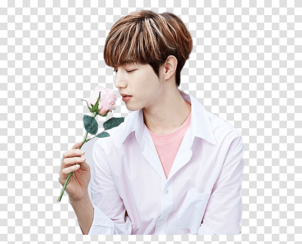 Jackson Mark Bambam Yugyeom Jr Junior Jinyoung Mark Tuan Its Skin, Person, Human, Smelling, Flower Transparent Png