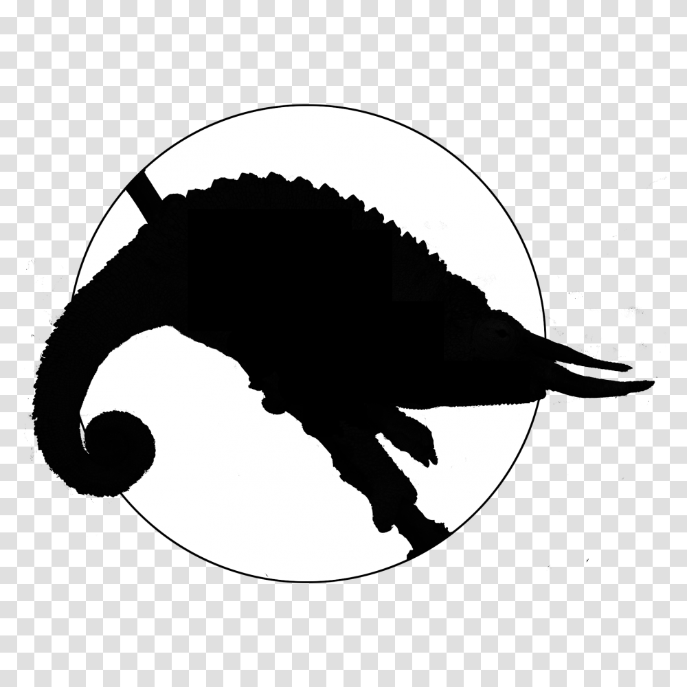 Jacksons Chameleon Information Care, Label, Silhouette, Stencil Transparent Png