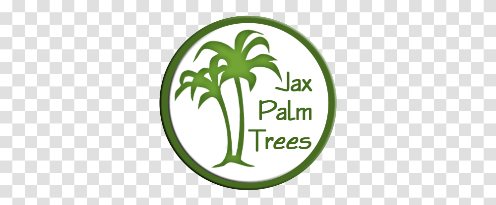 Jacksonville Florida Palm Trees - Jacksonville's Tree Source First Travel, Plant, Produce, Food, Vegetable Transparent Png